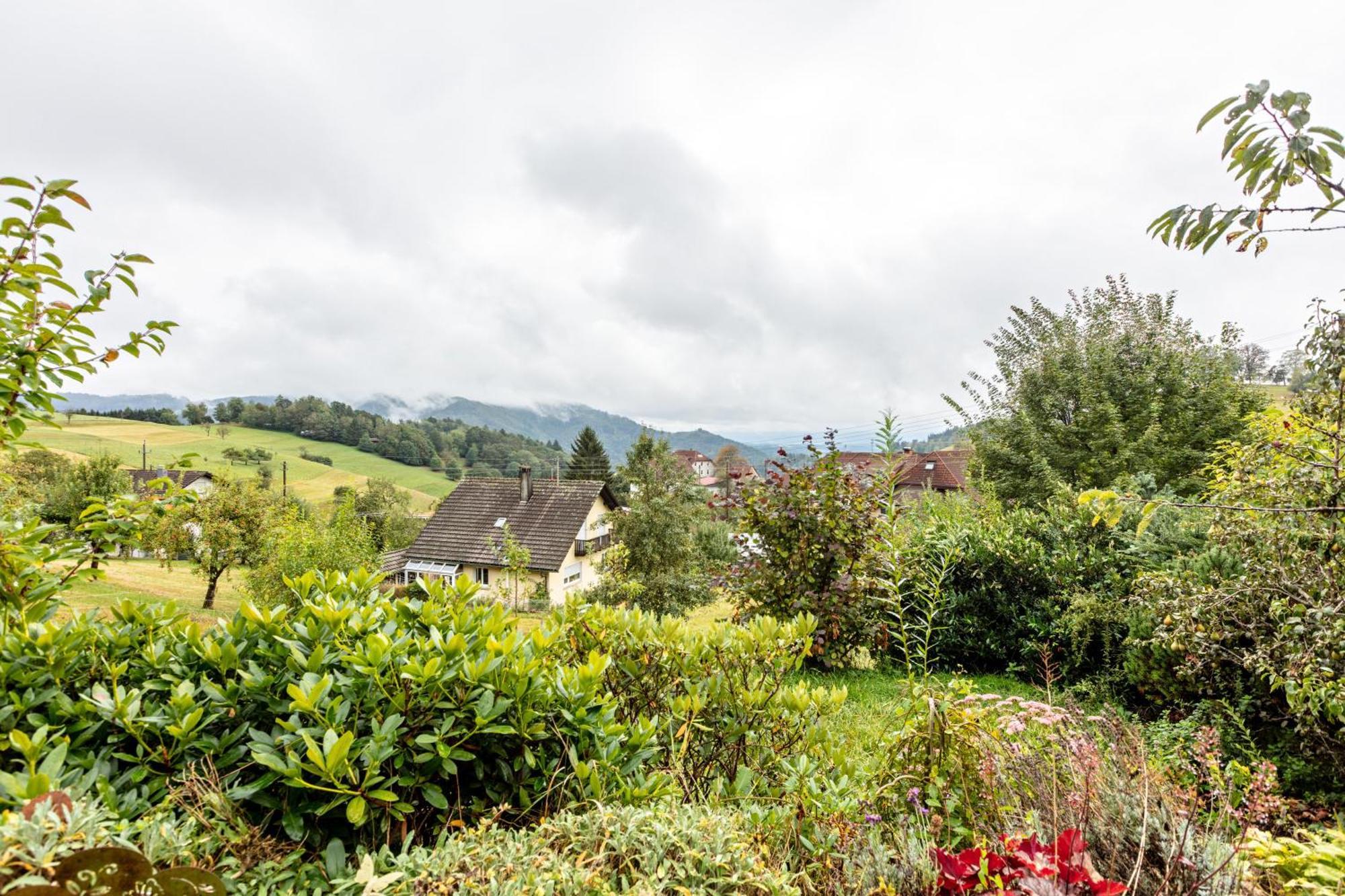 Apartmán Haus Landblick Zell im Wiesenthal Exteriér fotografie